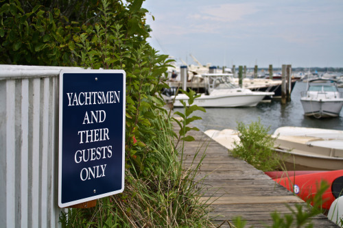 tumblr_nams3kbpHP1qbghaso1_500