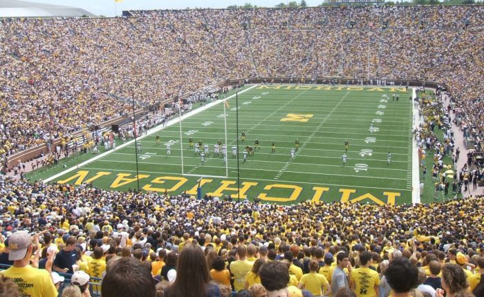 Fan, Fanatic, Fantastic