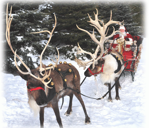 All I Ask Are A Few Reindeer, A Train Set, And&nbsp;Kindness