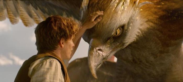 So Much More Than Meets The&nbsp;Eye