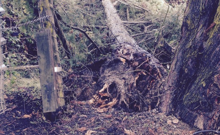 Good Fences / Good&nbsp;Neighbors?