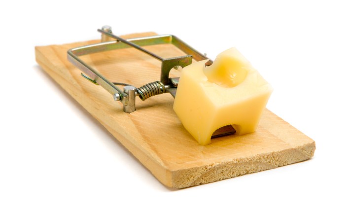 Rat King Dot&nbsp;Com