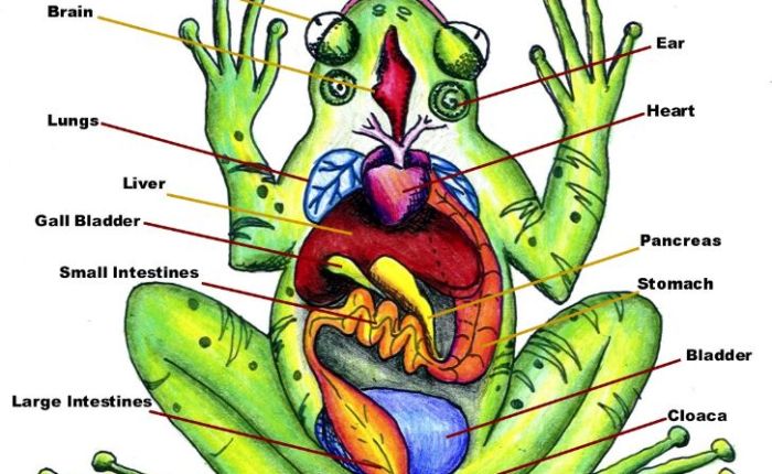 Unclear on the&nbsp;Concept