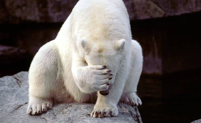 I’m embarrassed to say&nbsp;…