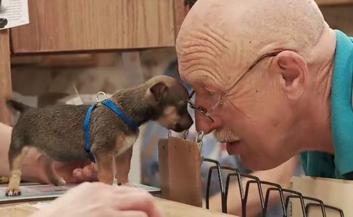 The Incredible Dr.&nbsp;Pol