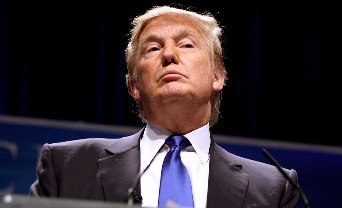 Who pulls the&nbsp;plug?