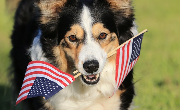 What Are We&nbsp;Celebrating?