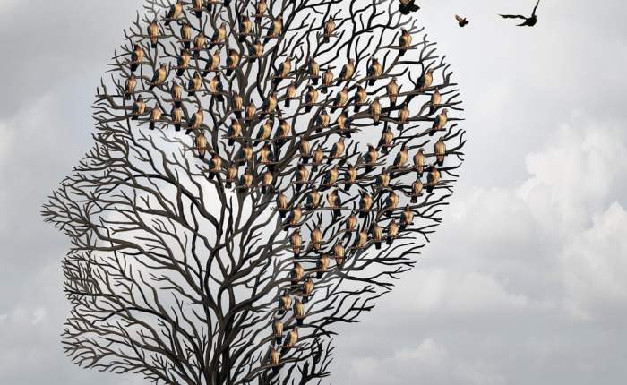 My Wife Lost Her Memory … For A&nbsp;While