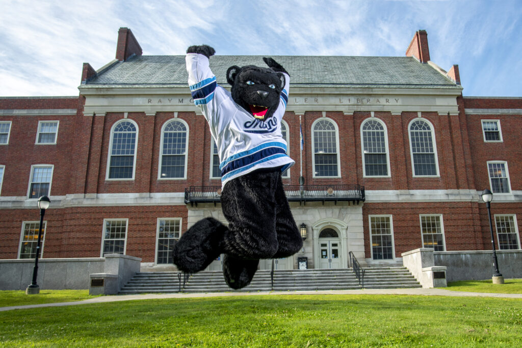 Biểu tượng của University of Maine (UMaine) là Bananas the Black Bear (Gấu Đen)