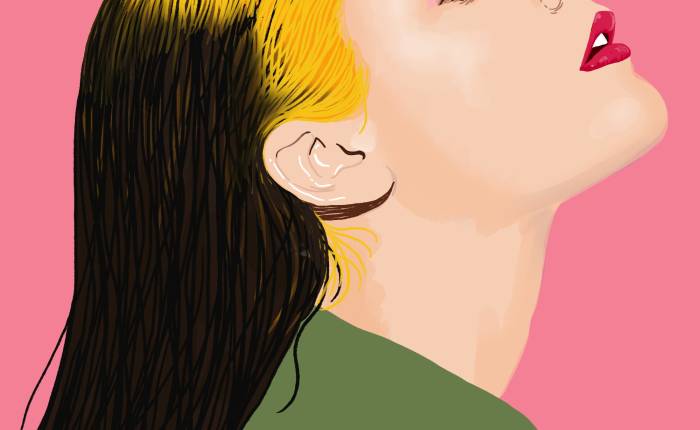 Hair Today, Dye&nbsp;Tomorrow